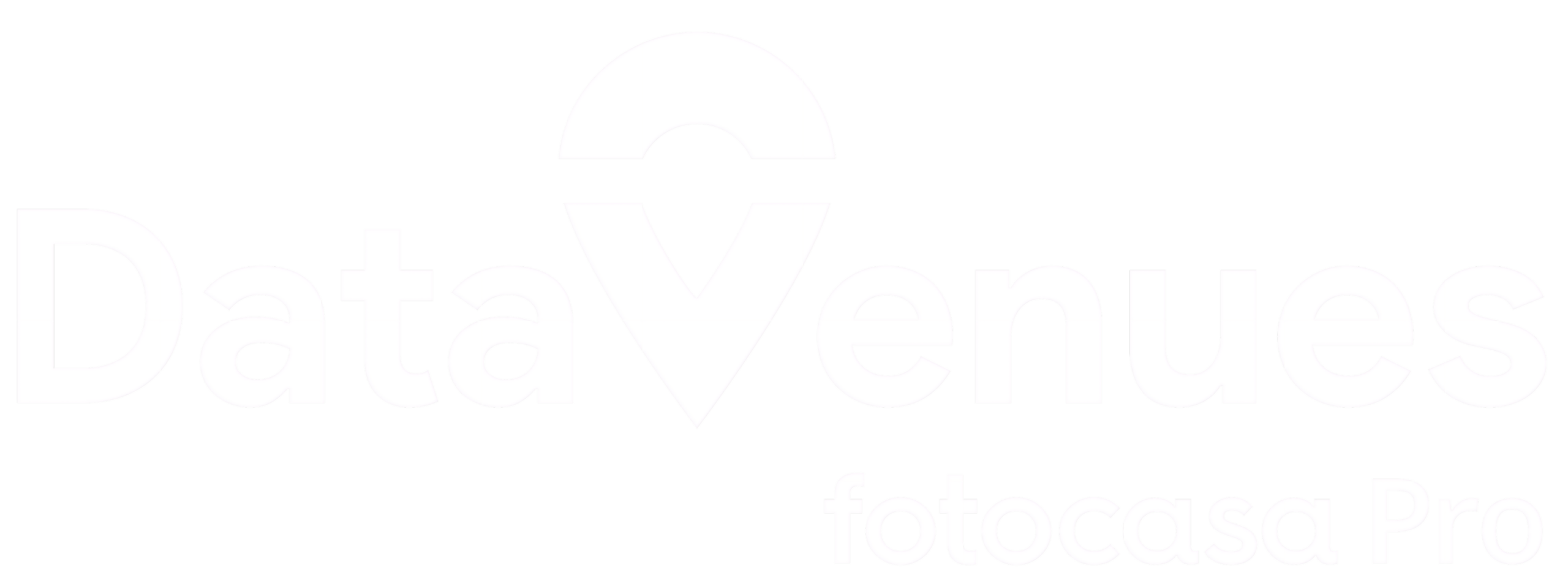 DataVenues Logo